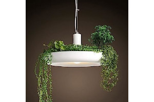 Lamparas De Hierro Para Comedor 51m4loU7FtL._AC_UL320_